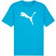 3. Koszulka Puma Team Rise Logo Jersey Cotton M 658705 02