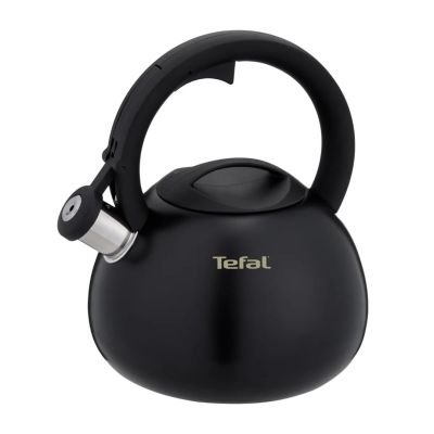 Czajnik nieelektryczny TEFAL N4180410
