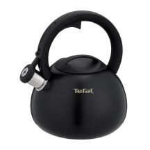 Czajnik nieelektryczny TEFAL N4180410