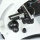 6. Mikroskop Delta Optical BioLight 300