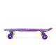 26. Deskorolka Nils Extreme ELECTROSTYLE PENNYBOARD PNB01 RAINBOW 