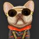 6. Etui Nimmy Glasses Cool Dog na Samsung Galaxy S26 Ultra - czarne