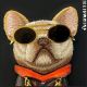8. Etui Nimmy Glasses Cool Dog do iPhone 17 - czarne