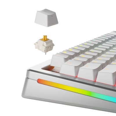 7. Glorious Panda Przełączniki standardowe, mechaniczne, 5-pinowe, dotykowe, MX-Stem, 50g - nasmarowane, 36 sztuk