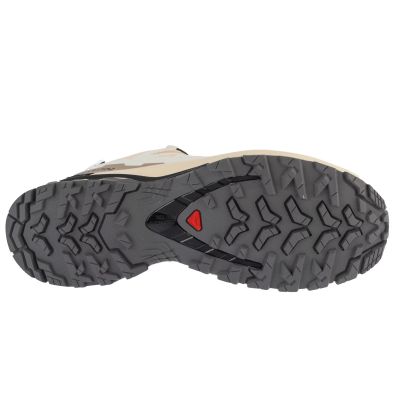4. Salomon XA Pro 3D v9 GTX W L47817600 Beżowe 36 2/3