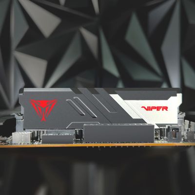 11. Patriot Viper Venom AMD DDR5 2x16GB 6000MHz CL28 EXPO