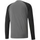 10. Bluza bramkarska Puma teamPacer GK LS M 704933 43