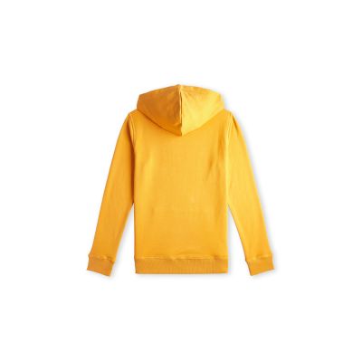 2. Bluza O'Neill Logo Hoodie Jr 92800615006