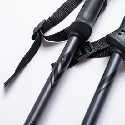 3. Kije ALPINE SKI II