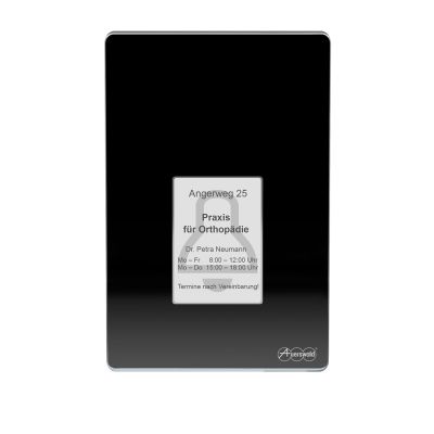 2. Terminal kontroli dostępu Auerswald TFS-Dialog 400