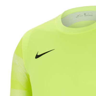 5. Koszulka Nike Dry Park IV M CJ6066-702
