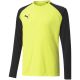 3. Bluza bramkarska Puma teamPacer GK LS Jersey Jr 704939 42
