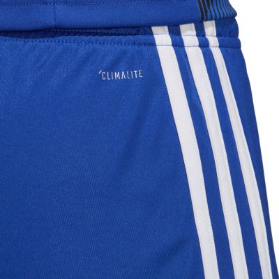 9. Spodenki adidas Tastigo 19 Shorts Jr DP3682