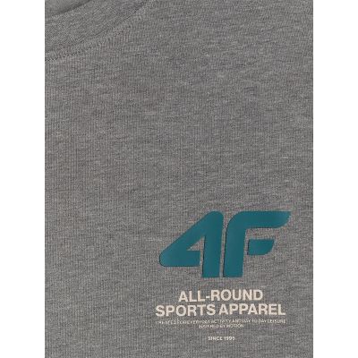 6. T-shirt regular gładki męski 4F 4FRSS26TTSHM3990-24M