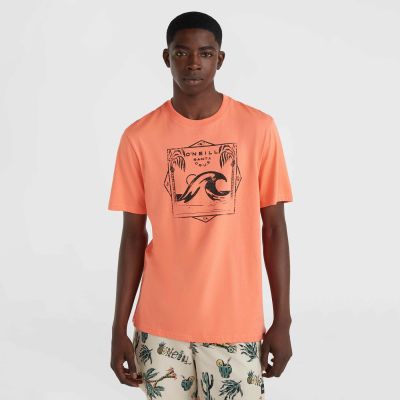 7. Koszulka O'Neill Mix & Match Wave T-Shirt M 92800613917