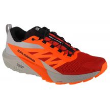 Buty do biegania Salomon Sense Ride 5 M 470462
