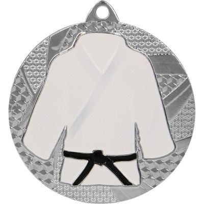 9. Medal srebrny judo/karate