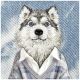 6. Etui Nimmy Gentle Pets Series Dog MagSafe na iPhone 17 Pro - szare