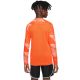 Koszulka Nike Dry Park IV JSY LS GK Jr CJ6072-819
