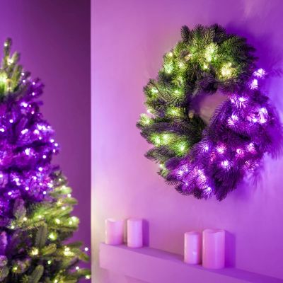 Twinkly Wstępnie oświetlony wieniec – 50 RGB LED, Regal 24" zielony przewód, typ wtyczki C