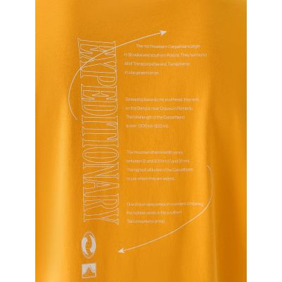 4. T-shirt oversize z nadrukiem męski 4F 4FRAW24TTSHM2578-70S