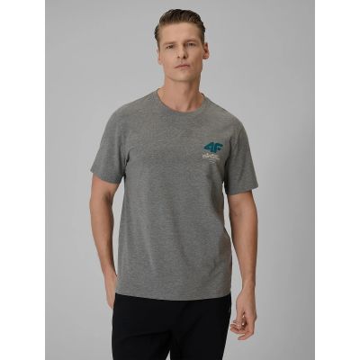 T-shirt regular gładki męski 4F 4FRSS26TTSHM3990-24M