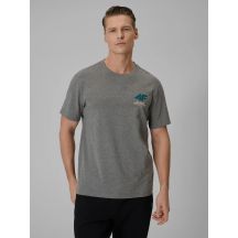 T-shirt regular gładki męski 4F 4FRSS26TTSHM3990-24M