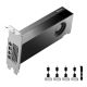 2. PNY NVIDIA 2000 Ada 16GB LowProfile, PCIe 4.0 x16, Dual Slot, 4x Mini DP 1.4a, 16 GB GDDR6 ECC 128-bit, HDCP 2.2, HDMI 2.0, LP - ATX bracket, 1x mDP to DP adapter, retial
