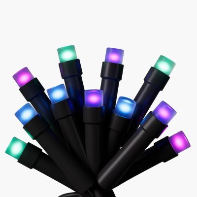 Nanoleaf 1D Outdoor Holiday String Lights Starter Kit 250LED 20m