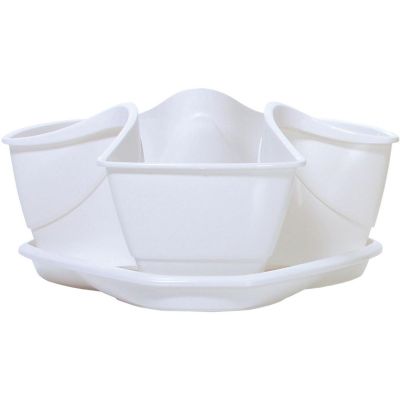 6. OGRÓD WERYKALNY DONICZKA KASKADA DO ZIÓŁ - BIAŁY