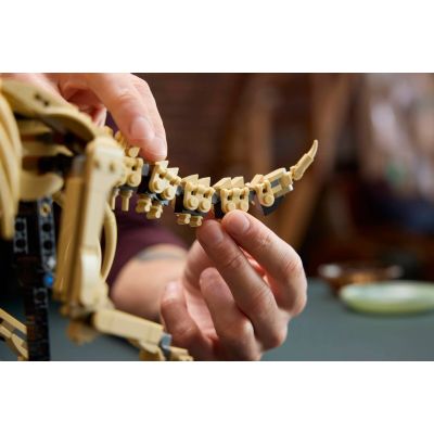 10. LEGO Jurassic World 77985 - Szkielety dinozaurów: Triceratops
