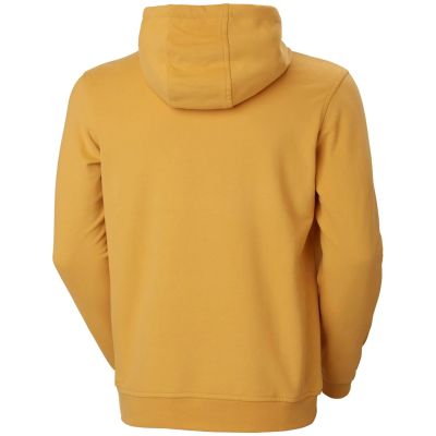 2. Bluza Helly Hansen Logo Hoodie M 33977-364