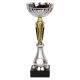 2. Puchar Tryumf W2066