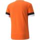 2. Koszulka Puma teamRise Jersey M 704932 08