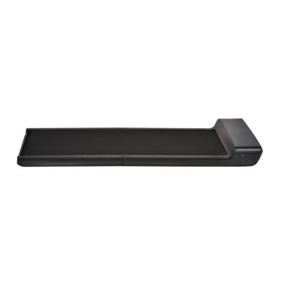 60. Bieżnia elektryczna Kingsmith Walking Pad WPA1F PRO