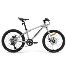 ROCKBROS rower model DARWIN 20 cali amortyzator