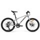 ROCKBROS rower model DARWIN 20 cali amortyzator