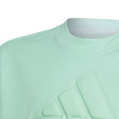 4. Koszulka adidas  FI Logo Tee Jr IC9532