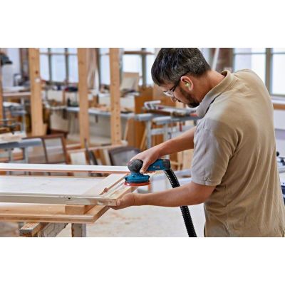 5. Bosch GEX 12V-125 Professional