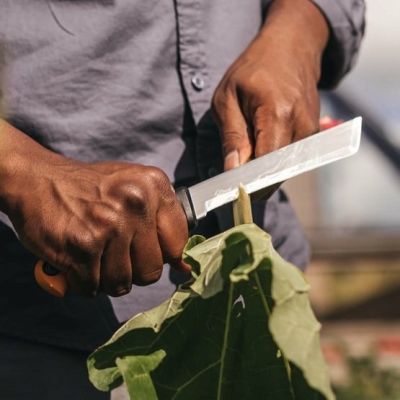 4. Fiskars 1062830 nożyk Czarny, Żółty Stałe ostrze noża