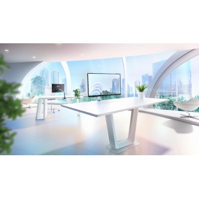 7. Monitor EIZO 60.5cm (23,8") FLT 16:09 DP+USB-C IPS Schwenkarm black