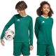 Koszulka dla dzieci adidas Entrada 26 Long Sleeve Jersey zielona KF5873