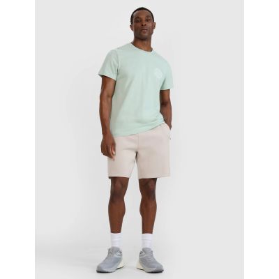 4. T-shirt regular z nadrukiem męski  4F 4FWSS25TTSHM1980-47S