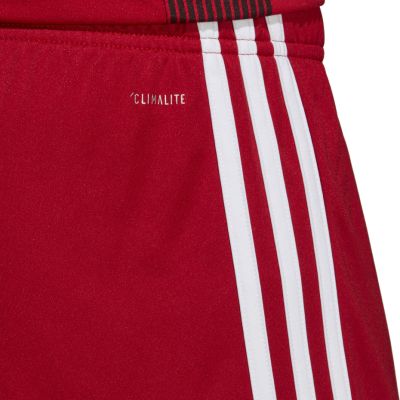 7. Spodenki adidas Tastigo 19 Shorts M DP3681