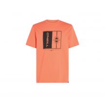 Koszulka O'Neill Mix & Match Palm T-Shirt M 92800613905