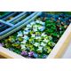 13. LEGO Art 31220 - Claude Monet: Most nad stawem z liliami wodnymi