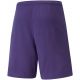 4. Spodenki Puma teamRise Short Prist M 704942 10
