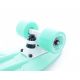 10. Deskorolka Tempish Buffy Nature 1060000785