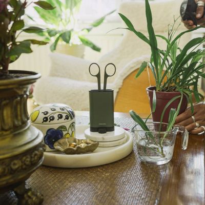 6. Zestaw narzędzi do pielęgnacji roślin doniczkowych FISKARS Plant Care (1075317) (3szt.)