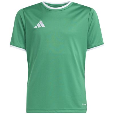 Koszulka dla dzieci adidas Entrada 26 Jersey zielona JZ2528